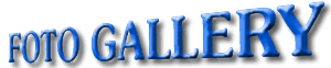 gall.gif (8461 byte)
